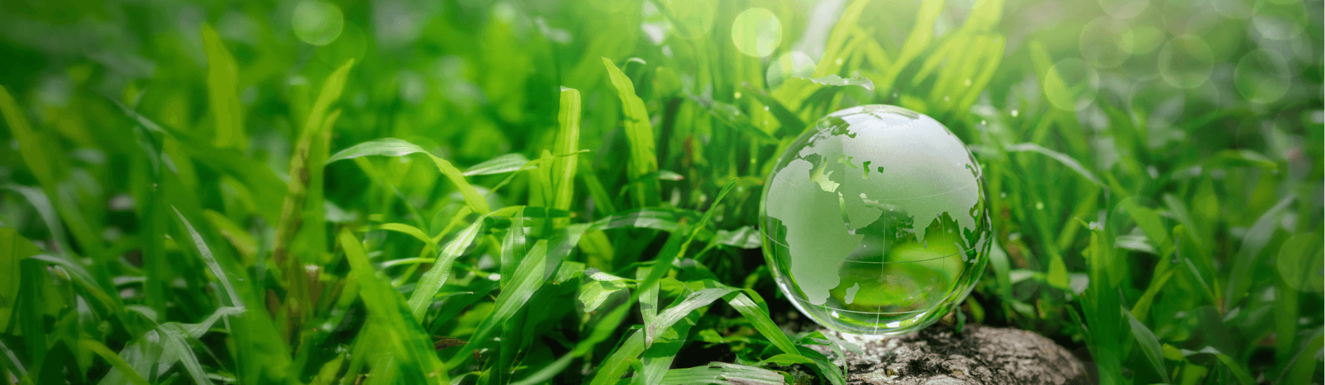 可持续banner1920_558
